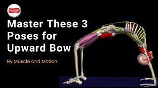 Master These 3 Poses for Upward Bow: Flexibility & Strength