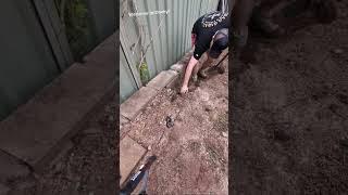 Save Money  Start Digging ‍ #shorts #handyman #diy #diwhy