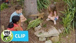 Building Fairy Houses | PINKALICIOUS & PETERRIFIC