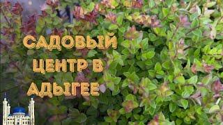 Наш Садовый центр в Республике Адыгея / питомник растений/ саженцы кустарники деревья в продаже