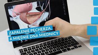 Zapalenie pęcherza, a mięśnie dna miednicy I Fizjoterapia Maciej Stachurski