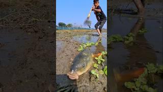 Omg! Amazing Fishing. #fishing #viralfishing #viralvideoシ #viralreelsシ #reelsfypシ #viral