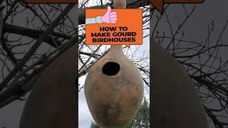 Making Birdhouses from Homegrown Gourds