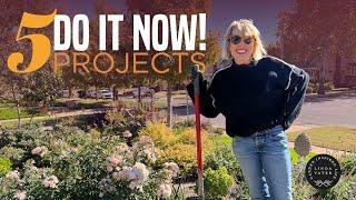 Tackle these 5 DO IT NOW! Garden Projects