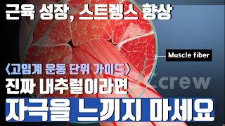 [훈련의 입문]운동 단위- 내추럴은 그들처럼 운동한다고 성장하지 않습니다.