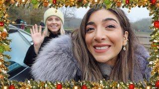 VLOGMAS 2020 BEGINS! With Christmas Decor & A Walk With My Buddies!