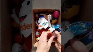 HUGE Kinder Surprise Chocolate Egg MAXI in BOX Unpacking