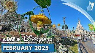   A Day in Disneyland Paris | FEBRUARY 2025