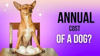 Annual Cost of Dog Ownership: How Much Does It Really Cost?