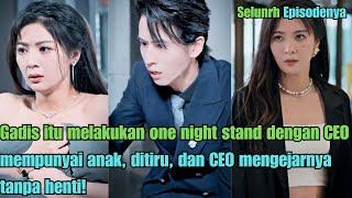 Gadis itu melakukan one night stand dengan CEO, mempunyai anak, ditiru, dan CEO mengejarnya tanpa