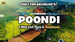 Poondi - Land of Magic Mushrooms - A must visit place in Kodaikanal | Poombarai |Tamil Nadu