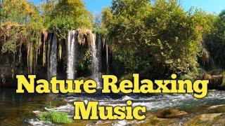 Relaxing Music for Meditation. Calm Background for Stress Relief, Sleep, Yoga, Massage, Spa