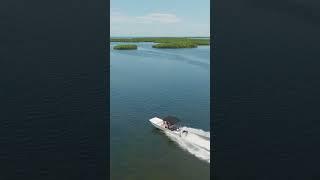 Discover the thrill of scalloping with expert guides!  #NatureExploration