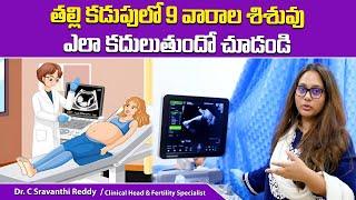 9 Weeks of Pregnancy: Live Ultrasound Scans Video || Dr C Sravanthi Reddy Fertility Specialist