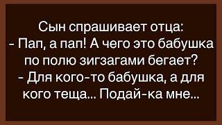 Как Вовочка Спрашивал Отца Как Он Появился!Сборник Свежих Анекдотов!Юмор!Настроение!