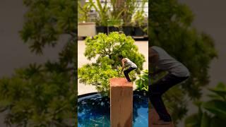Creative Water Park fish video story idea #creative  #shorts