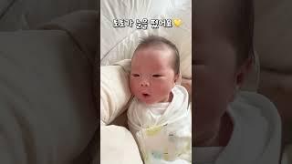 속보우리 토토 드디어 눈떴어요 #shorts #혜진쓰