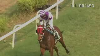 MARKET KING wins The Mahalakshmi Sprint Million