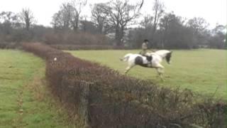 Taunton Vale over more hedges