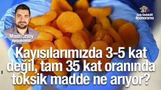 GIDA PANORAMA'DA KONUŞUYORUZ: Kayısılarımızda tam 35 kat oranında toksik madde ne arıyor?