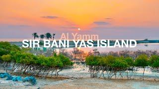 A Day on Abu Dhabi's Biggest Private Island, Sir Bani Yas