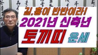 2021년 토끼띠운세,토끼띠사주,2021년 신축년 토끼띠 운세 - 길흉이 반반이라! 23세 기묘생,35세 정묘생,47세 을묘생,59세 계묘생,71세 신묘생,