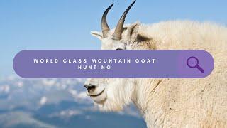 World Class Mountain Goat Hunting