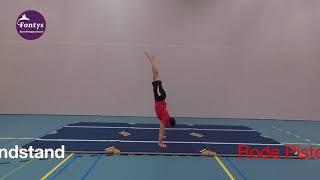 ALO1 | semester 1 | Handstand