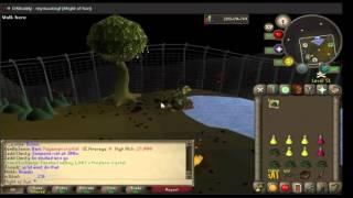 Old School Runescape - Dark Crab fishing guide + 2 hours of loot (after elite diaries).