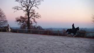 Ranch de la Foucaudière - encore plus grand