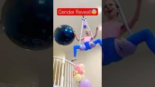 Gender Reveal FAIL!