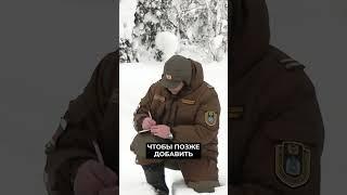 На Ямале идёт зимний учёт диких животных #новости #янао