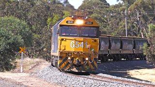 Trackside with 9149 empty grain train to Sea Lake - Fantastic scenery & sounds