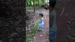 Baby's day out in areca nut farm || Nudishree