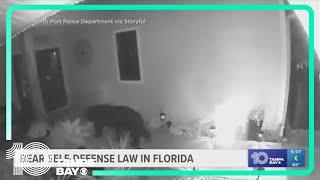 New Florida law addressing bear interactions is raising eyebrows across the state