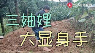 【山鍋兄弟】老爸带三妯娌挖土种菜，个个大显身手，隔壁邻居都羡慕不已