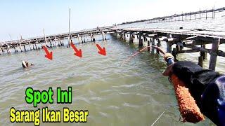 Menyesaal !! Mancing Ikan Sendirian Di Rumpon Wares Morosari