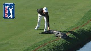 PGA TOUR’s best animal encounters of the decade: 2010-19