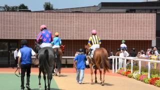 【Travel Hokkaido Sapporo】Horse racing at Sapporo Japan 札幌競馬場のパドック