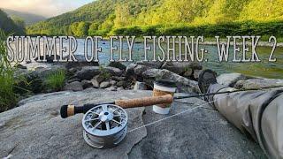 Dry Fly Fishing the Delaware River and Visiting Trout Town USA (Summer of Fly Fishing Week 2)