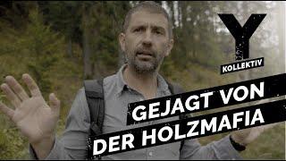 "Die Holzmafia ist hinter mir her!" – Milliardengeschäft illegaler Holzhandel | Y-Kollektiv