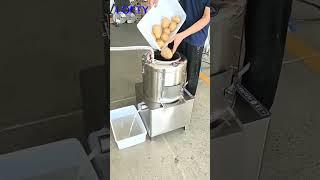 Commercial Potato Peeler-----LOFTY MACHINERY