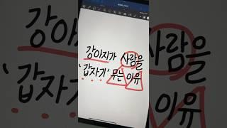강아지가 사람을 갑자기 무는 이유? #강아지공격성 #강아지행동교정 #강아지훈련