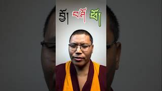 ཆོད་ཆེ་ལ་མཁོ་ཆེ་བའི་བྱ་ཚིགའདི་དག་རྟག་ཏུ་སྤྱོད་ནུས་ན་ཐང་།