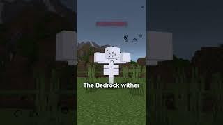 bedrock features i wish were in java