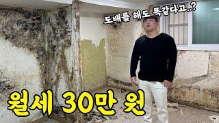 한국인들 가성비 찾다가 ㅈ되는 집