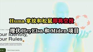 Huma掌纹和松鼠即将空投，埋伏HeyElsa和Miden项目 #web3 #空投 #humanity  #HeyElsa #Miden #sahara