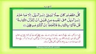 Para 4 - Juz 4 Lan Tana Lu HD Quran Urdu Hindi Translation