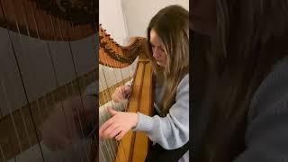 “Farewell To Whalley Range” arr. by Ciorstaidh Beaton (Michael McGoldrick) #Jig #Irish #Harp #groove