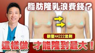 脂肪隆乳關鍵在㊙️！新聖如何提高脂肪存活？黃金44222法則是什麼 ｜新聖整形外科 林子宇醫師